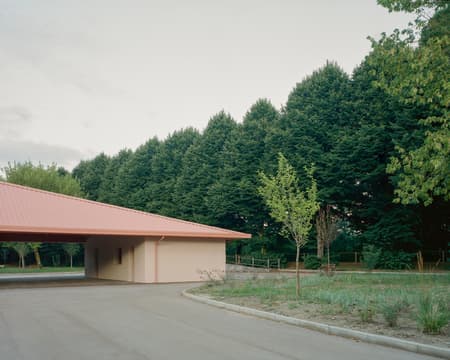 Under the Pink Roof